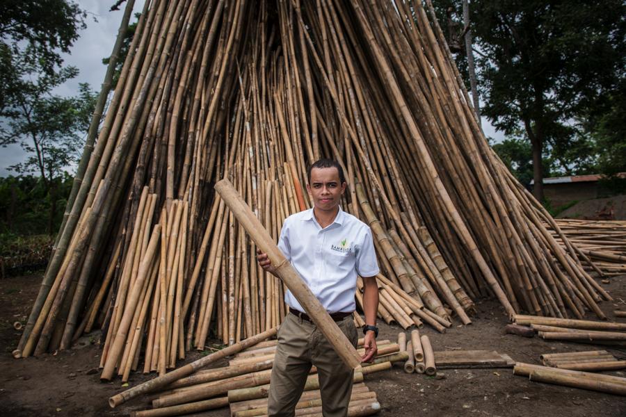 Bambú: la grama de los dioses