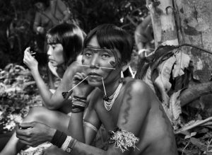 tribu