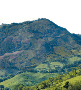 Cerro El Chipote