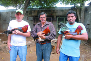 Mario Tapia