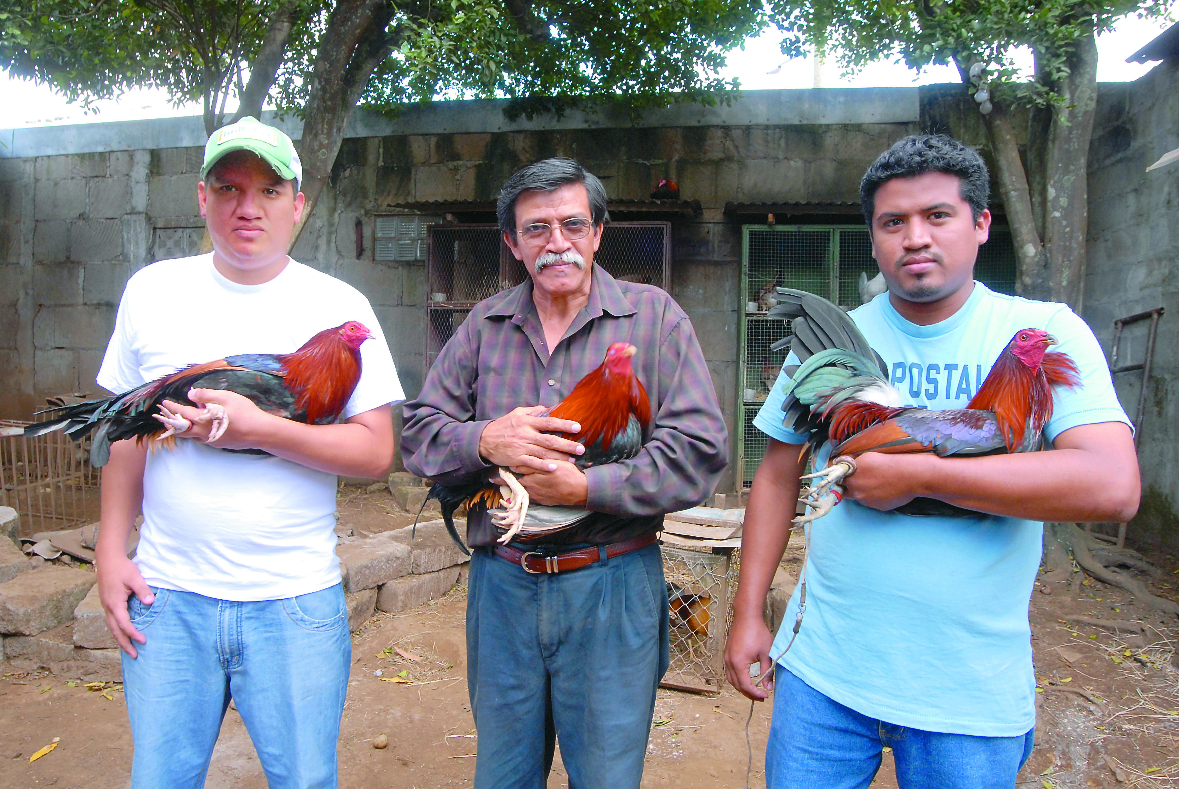 Mario Tapia