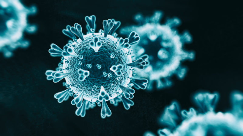 Los secretos de un enemigo astuto: el nuevo coronavirus
